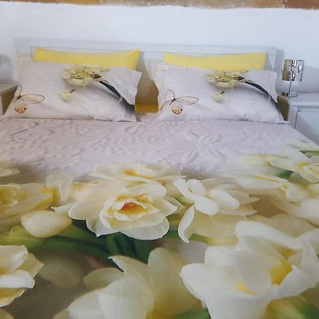 B&Bittle Roma Ngoại thất bức ảnh